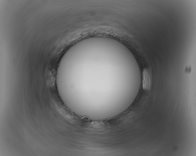 X0000113341491200909291017