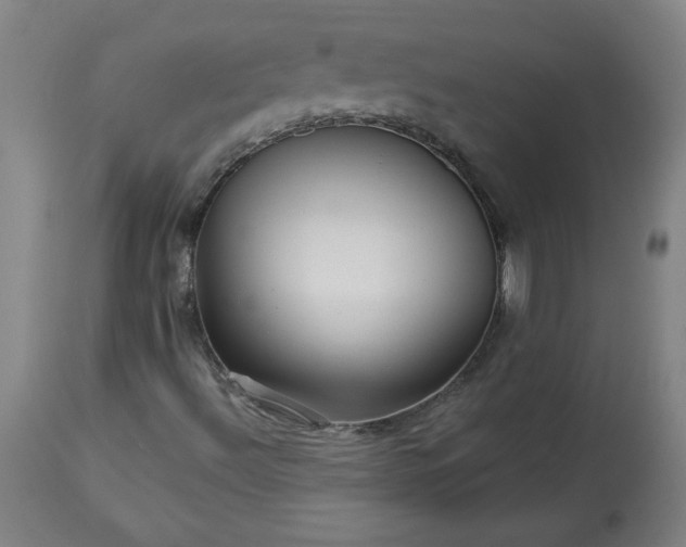 X0000113341492200909291017