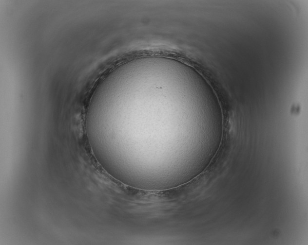 X0000113341493200909291017