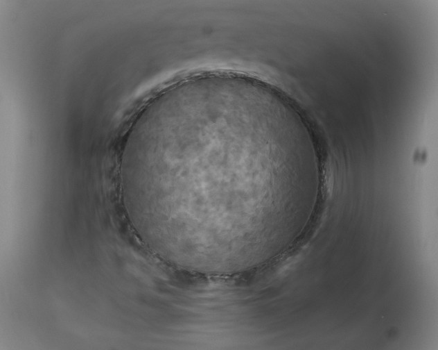 X0000113341494200909291017