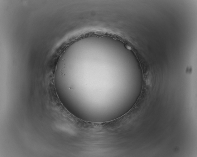 X0000113341495200909291017