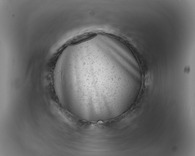 X0000113341496200909291017