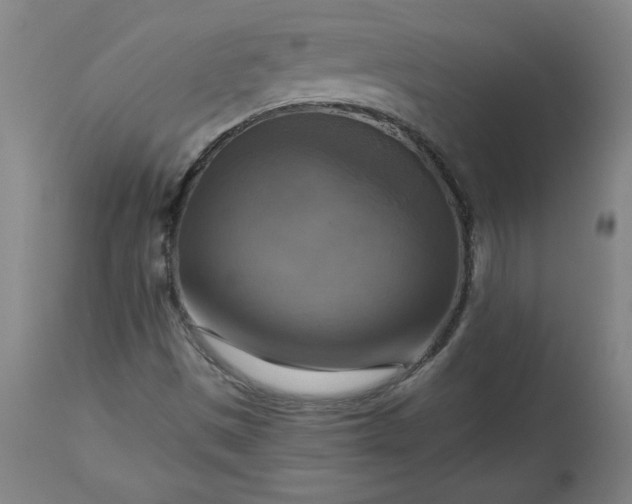 X0000113341497200909291017