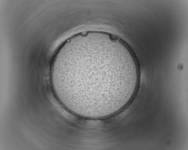 X0000113341498200909291017