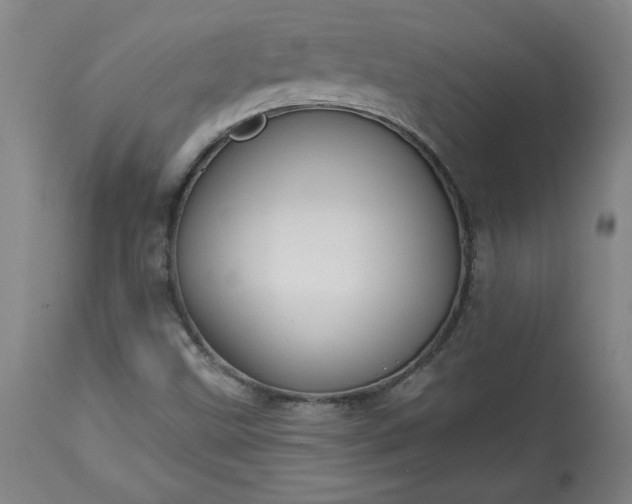 X0000113341499200909291017