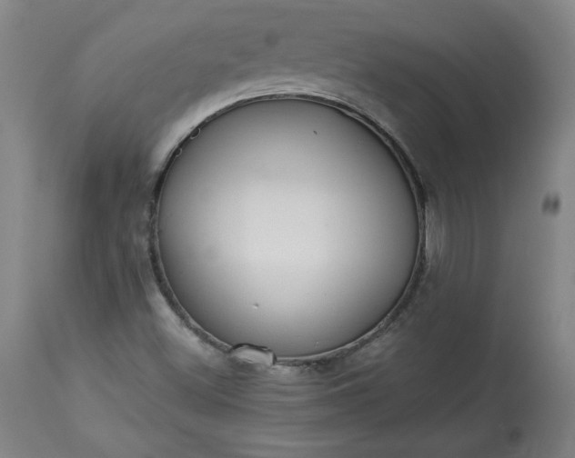 X0000113341500200909291017