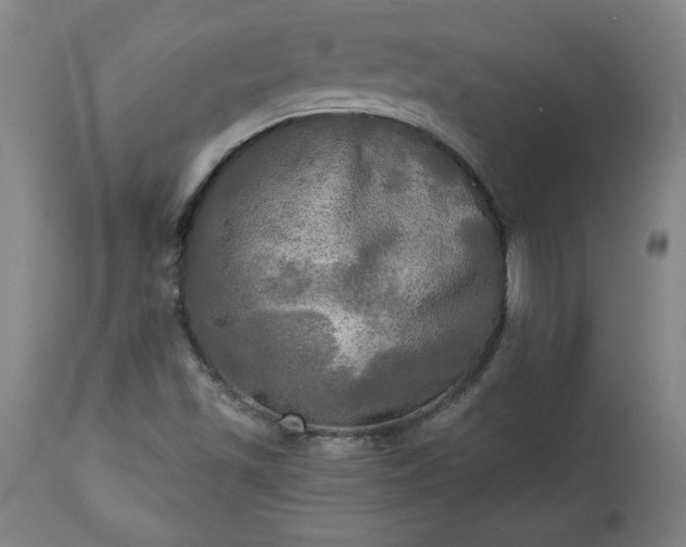 X0000113341501200909291017