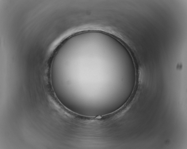 X0000113341502200909291017