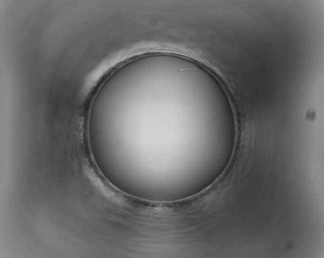 X0000113341503200909291017