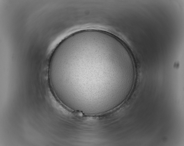 X0000113341504200909291018