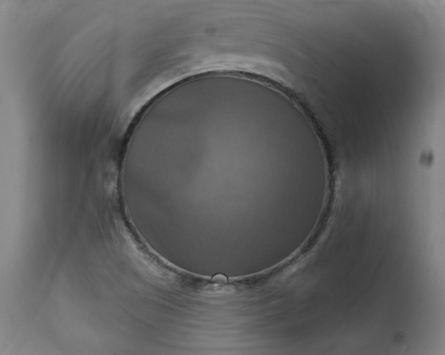 X0000113341505200909291018