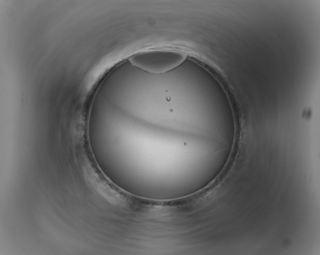 X0000113341506200909291018