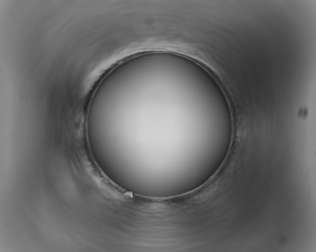 X0000113341507200909291018