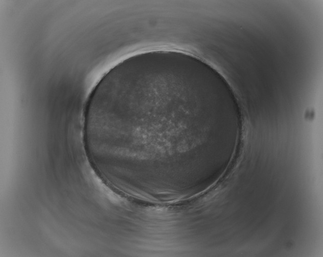 X0000113341508200909291018