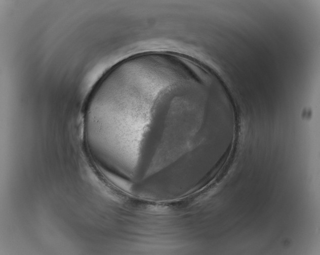 X0000113341509200909291018