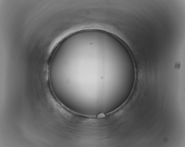 X0000113341510200909291018