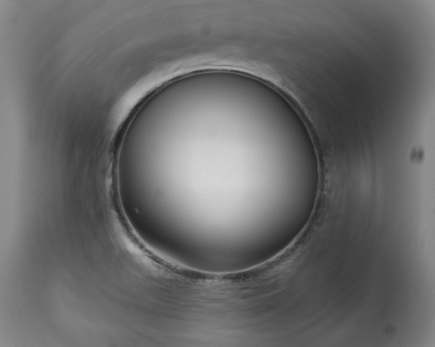 X0000113341511200909291018