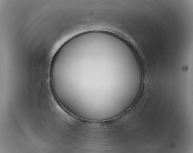 X0000113341512200909291018