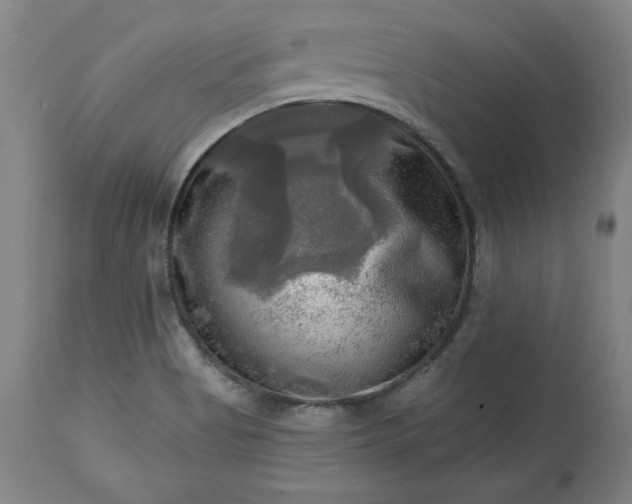 X0000113341513200909291018