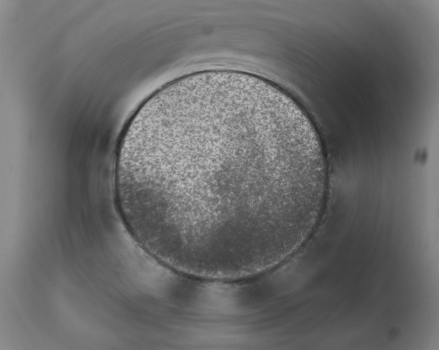 X0000113341514200909291018