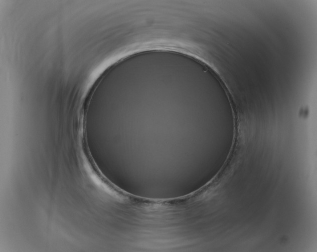 X0000113341515200909291018