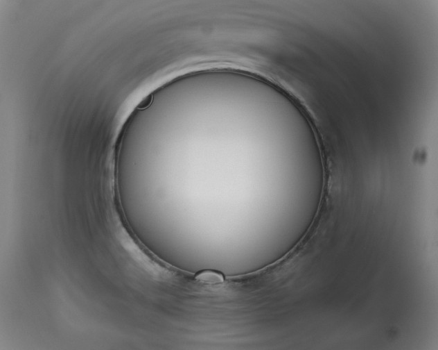 X0000113341516200909291018