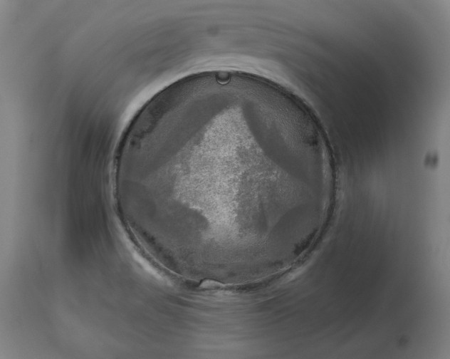 X0000113341517200909291018