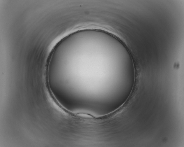 X0000113341518200909291018