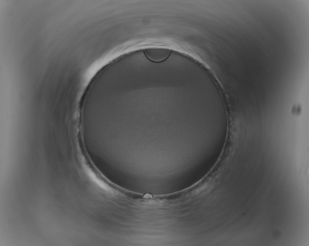 X0000113341519200909291018