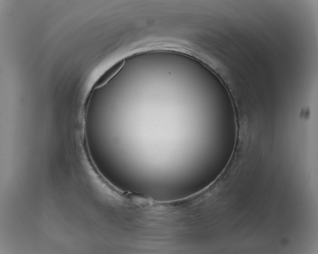 X0000113341520200909291018