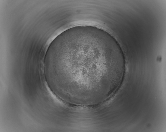 X0000113341521200909291018