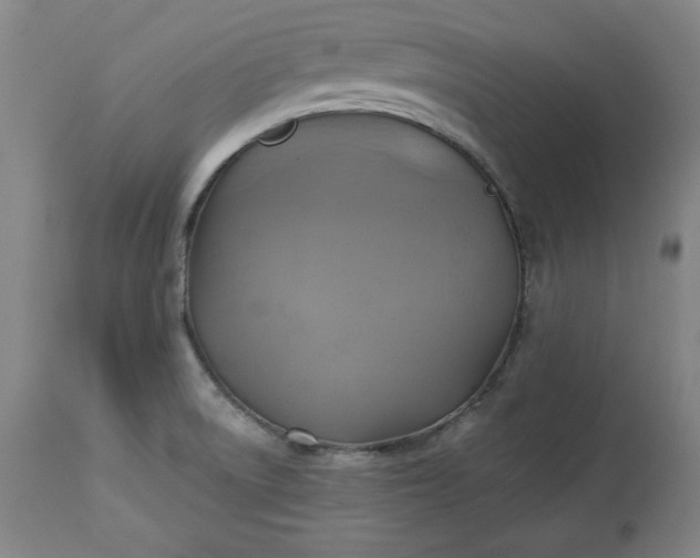 X0000113341522200909291018