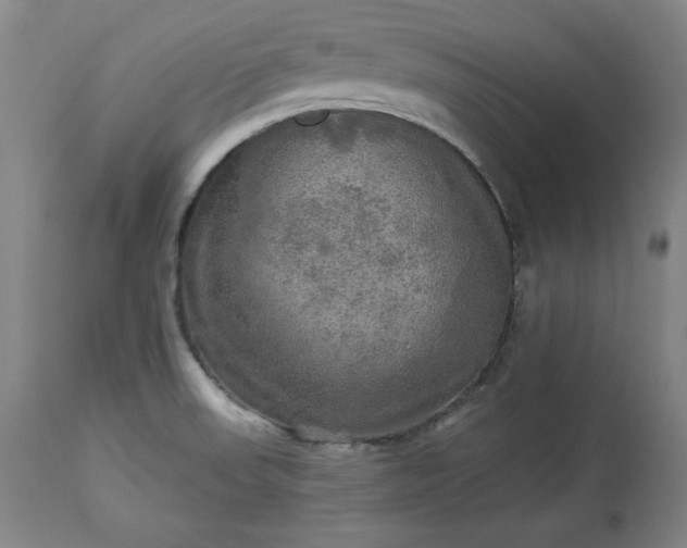 X0000113341523200909291018