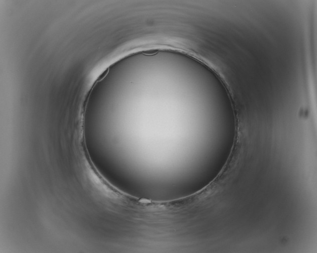 X0000113341524200909291018