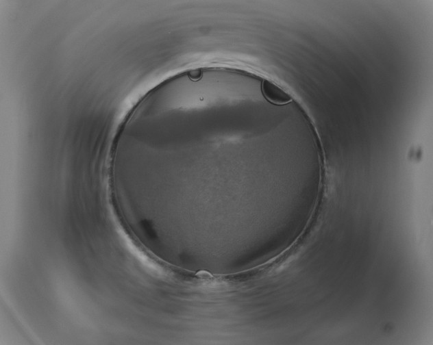 X0000113341525200909291018