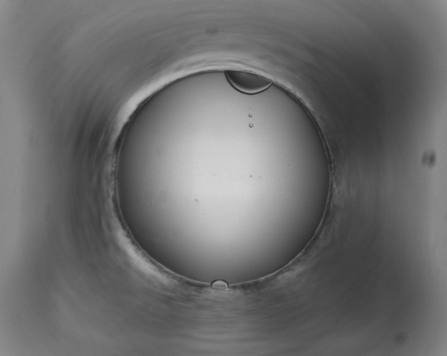 X0000113341526200909291018