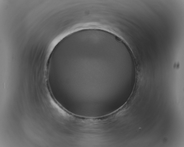 X0000113341527200909291018