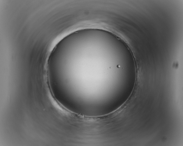 X0000113341528200909291018