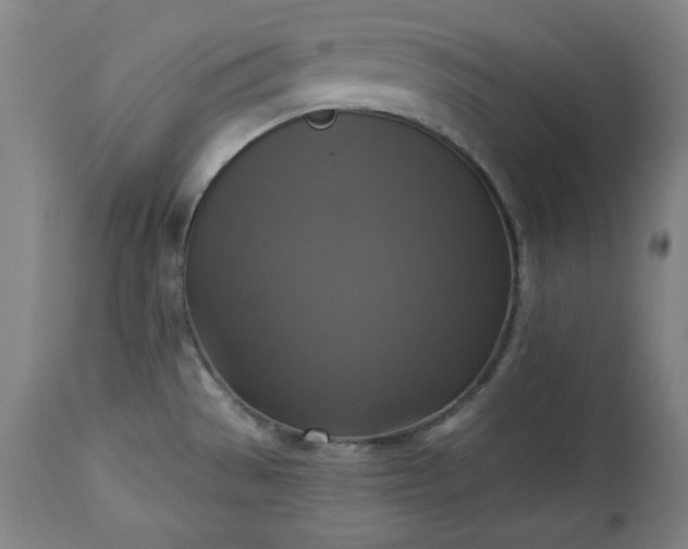 X0000113341529200909291018