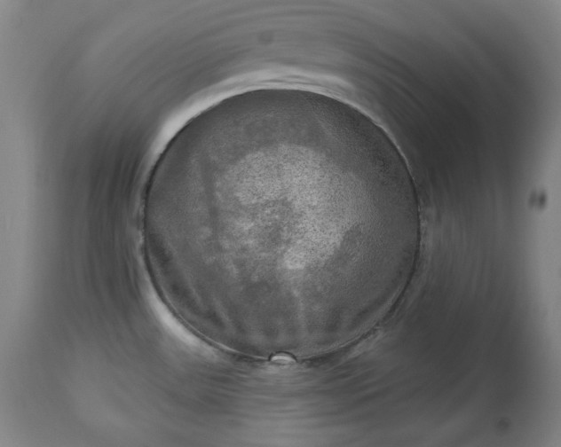 X0000113341531200909291018