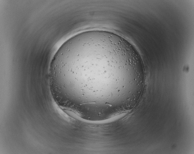 X0000113341532200909291018