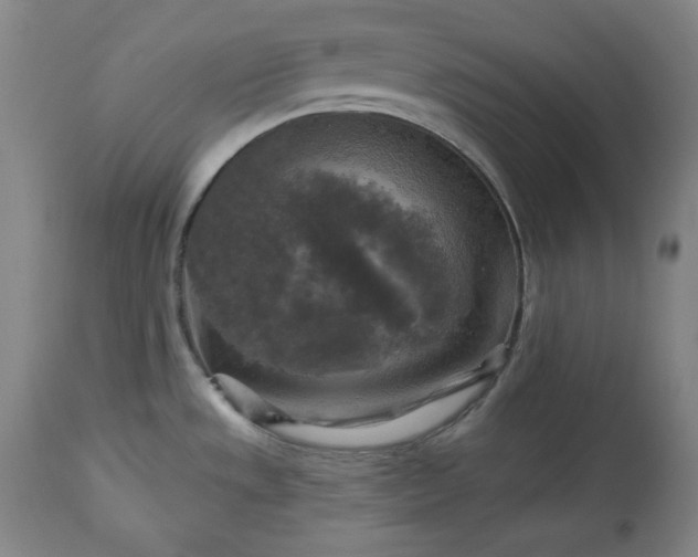 X0000113341533200909291018