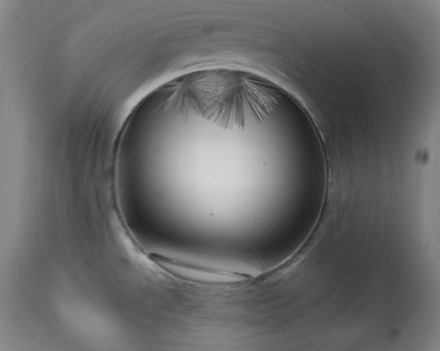 X0000113341534200909291018