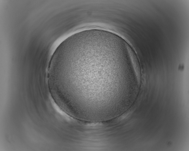 X0000113341535200909291018