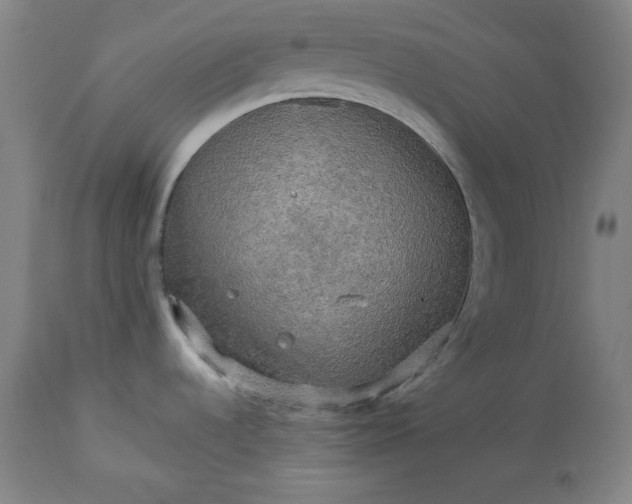 X0000113341536200909291018