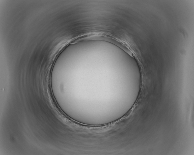 X0000113340001200910061007
