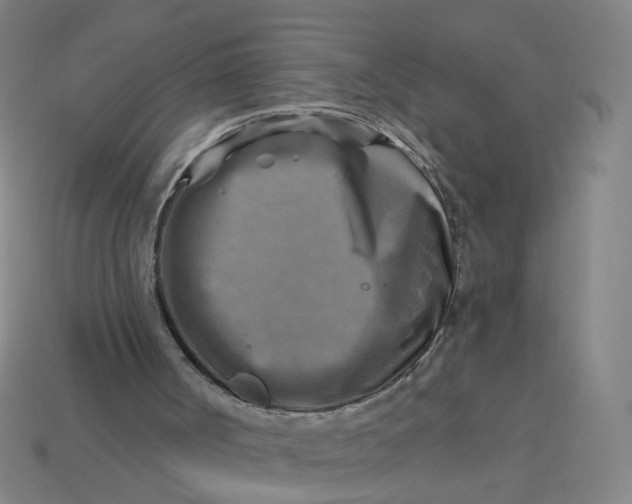 X0000113340002200910061007