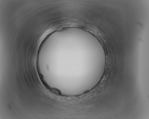X0000113340003200910061007