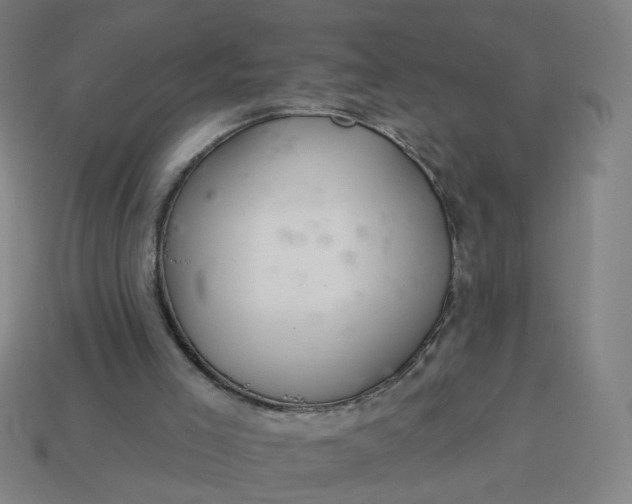 X0000113340005200910061007
