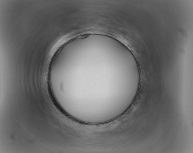 X0000113340007200910061007